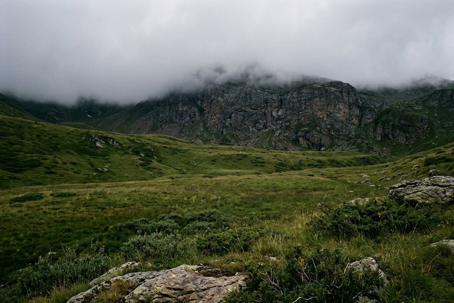 High green pasture under wet cloud with bare rock above.