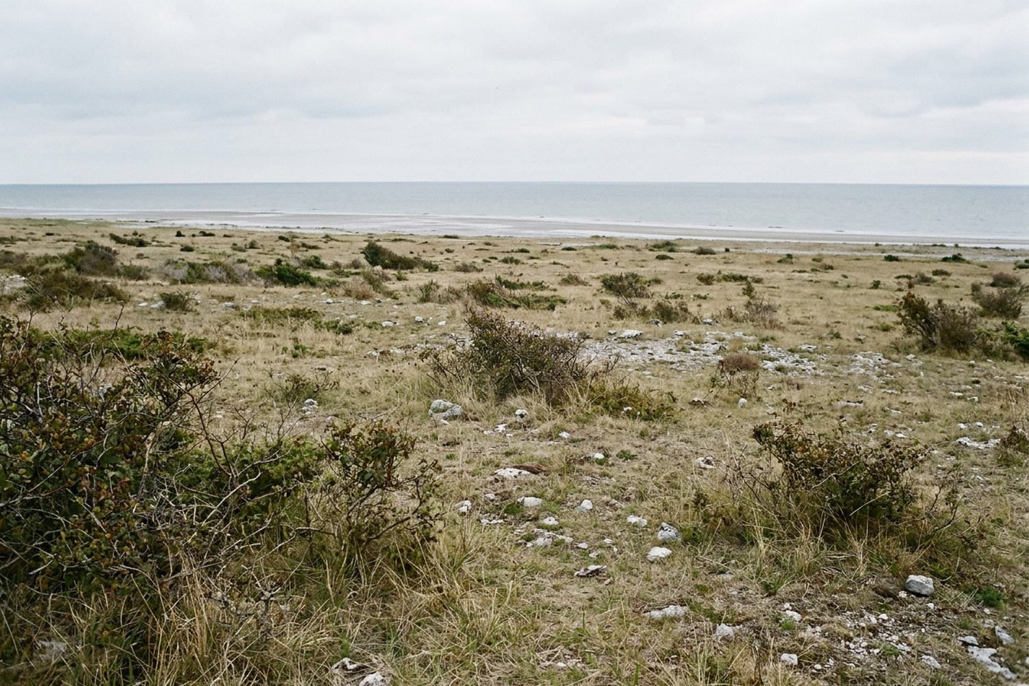 Flat limestone grassland running to a distant shore.
